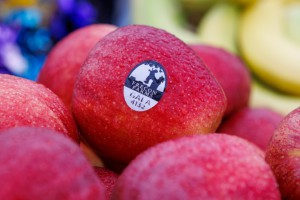 Frecon Farms Apples